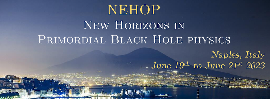 New Horizons in Primordial Black Hole physics (NEHOP)